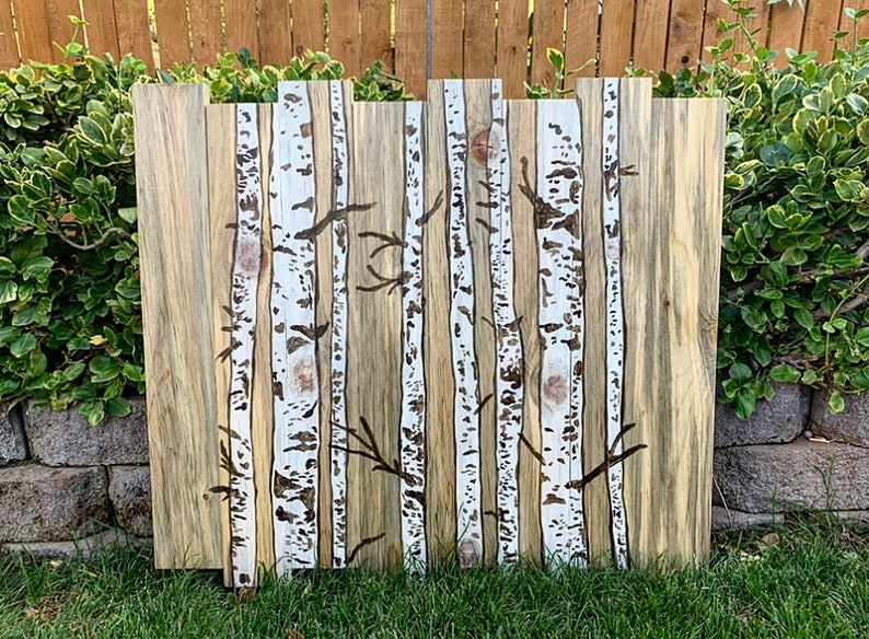 Aspen Trees on Beetle Kill Pine
