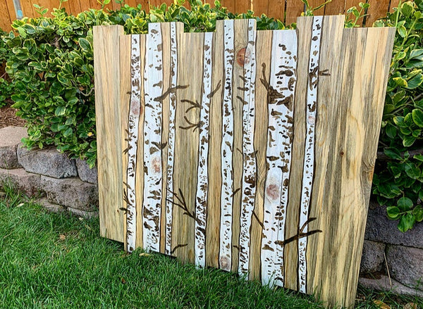 Aspen Trees on Beetle Kill Pine
